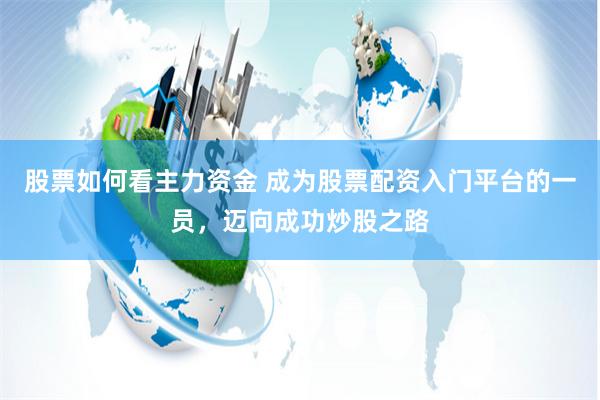 股票如何看主力资金 成为股票配资入门平台的一员，迈向成功炒股之路
